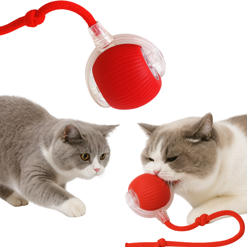 Interactive Rolling Pet Ball β USB-Rechargeable | Auto Wake-Up | Self-Entertainment Toy for Cats & Dogs