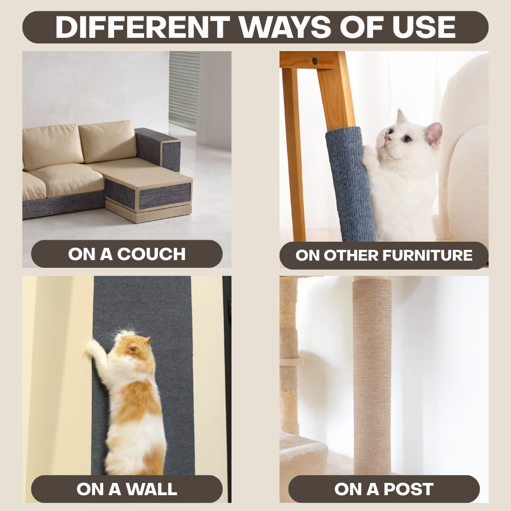 Multifunctional Cat Scratching Carpet